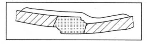 Paint coating in wet state